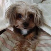 Kimberly Wolf's photo