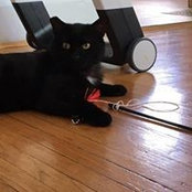 Samantha Chernoguz's photo