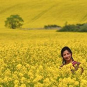 Malena Huesca's photo