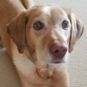 Beverly Wehes foto