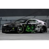 Michael Schutt's photo