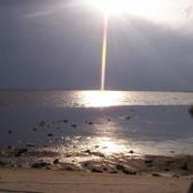 Foto von Kathy Graham