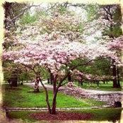 Karissa Krull's photo