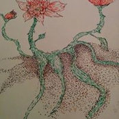 Mireille Lorraine's photo
