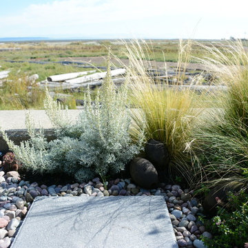 Contemporary Seaside Garden
