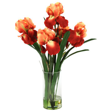 Waterlook® Rust Gold Iris with Blades in Glass Cylinder