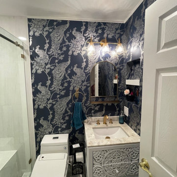 Danville Guest Bathroom remodel