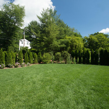 Timeless Landscape Master Plan