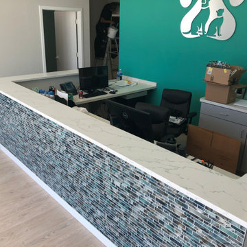 Veterinary Clinic Reception Desk