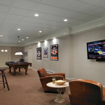 Basement Finishing Ideas