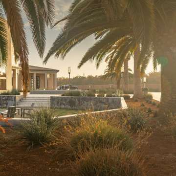 Mid-East Modern