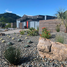 desert front yard