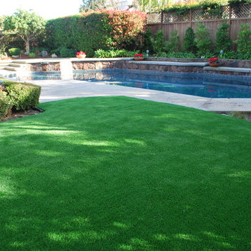 Artificial Grass