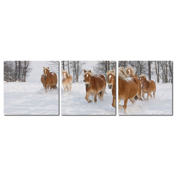 Baxton Studio Horse Herd Mounted Photography Print Triptych