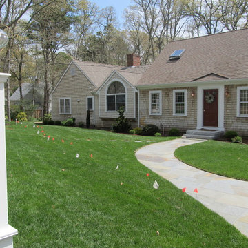Complete yard renovation