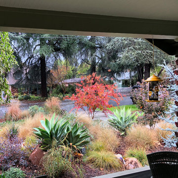 Colorful Watershed Front Landscape