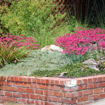 3 Easy Steps to Create a Butterfly Garden