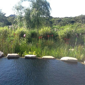 Natural Pools