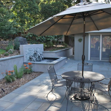 Proctor Terrace Backyard