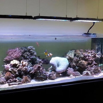 Aquarium - moving services