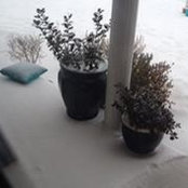 Gina Aveni's photo