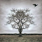 Enrique Mosqueda's photo