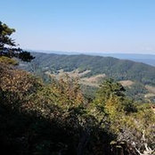 Foto von Patti Leeman