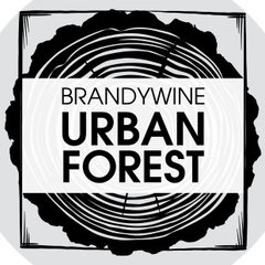 Brandywine Urban Forest