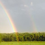 Lauri Chandler's photo