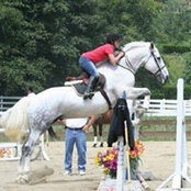 Deanna Bryan's photo