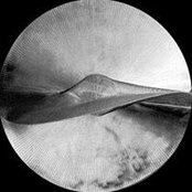 Agathe Kuposiewicz's photo