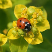 Sue Brown's photo
