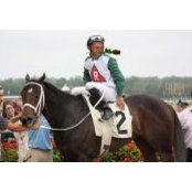Michael Bergold's photo