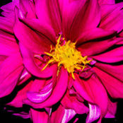 Mickey Miller's photo