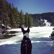 Sarah Vail's photo