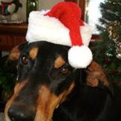 Joyce Walker's photo