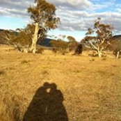 Karen Price's photo