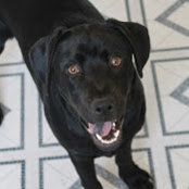 Clayton Spangenberg's photo