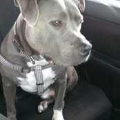 Patricia Oglesby's photo