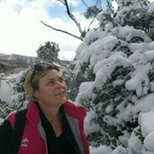 Foto von Kate Cook