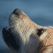 Photo de Diane Schmid