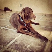 Davie Brooks's photo