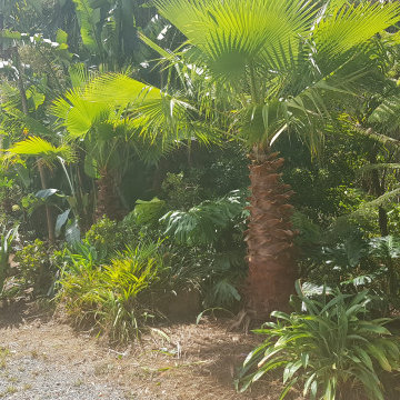 Tidy Up for a Tropical Retreat