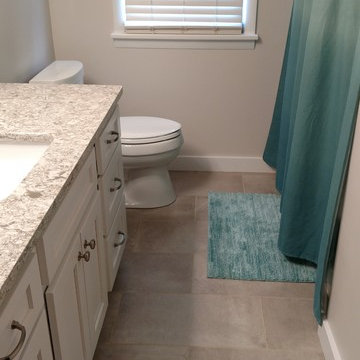 East Grand Rapids Bath Remodel