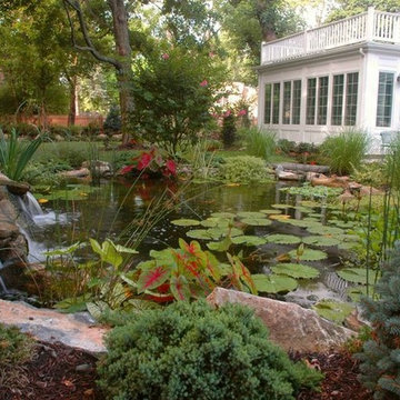 Where to Position Ponds