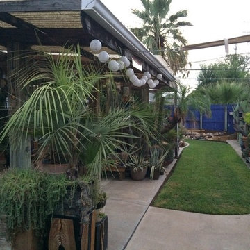 cactus & Succulent Gardens
