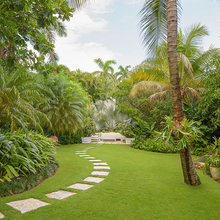 A Tropical Garden
