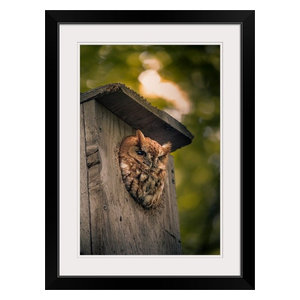 Maumee Bay State Park Ohio Black Framed Art Print Farmhouse
