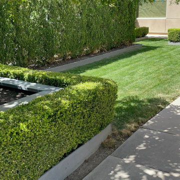 Rooftop garden plaza