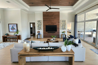 Example of a minimalist living room design in Miami